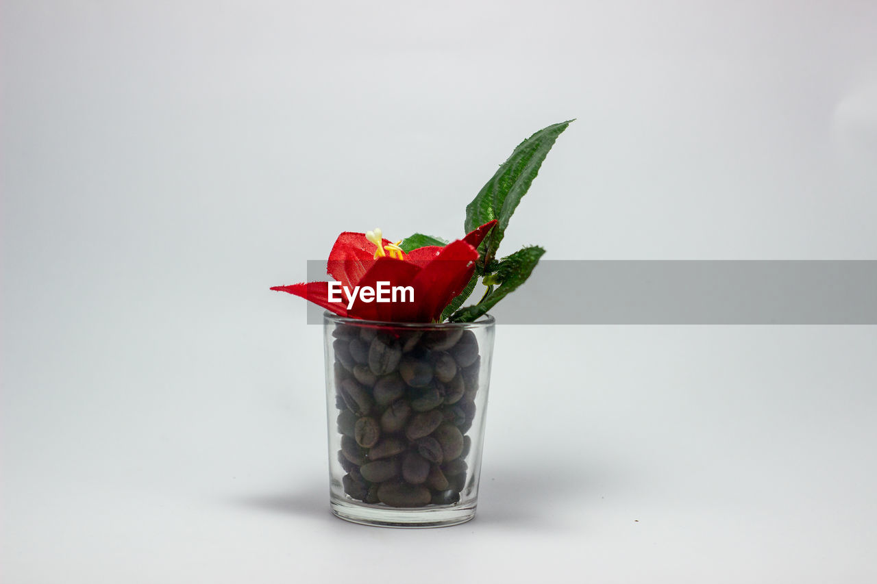 CLOSE-UP OF RED ROSE ON GLASS