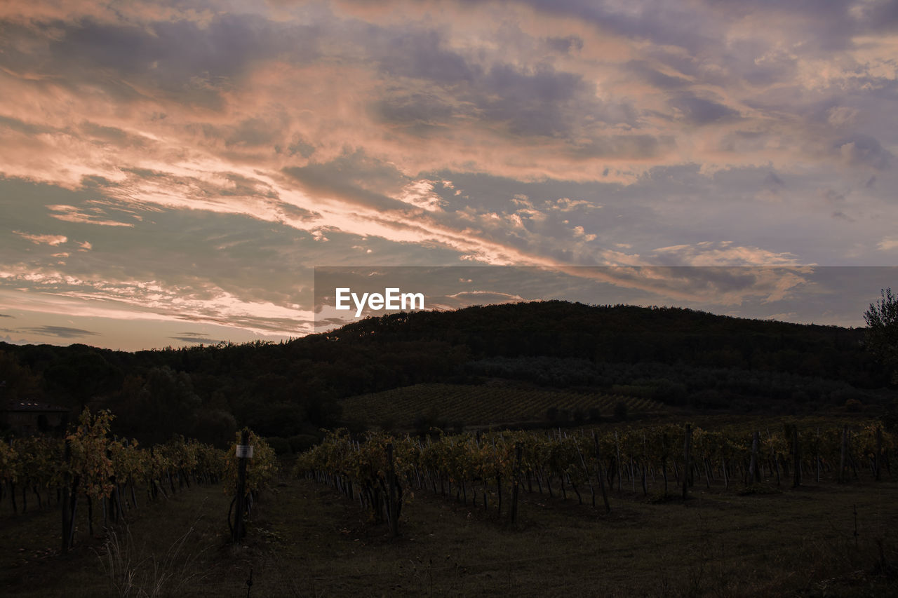 SCENIC VIEW OF LAND AGAINST SKY DURING SUNSET