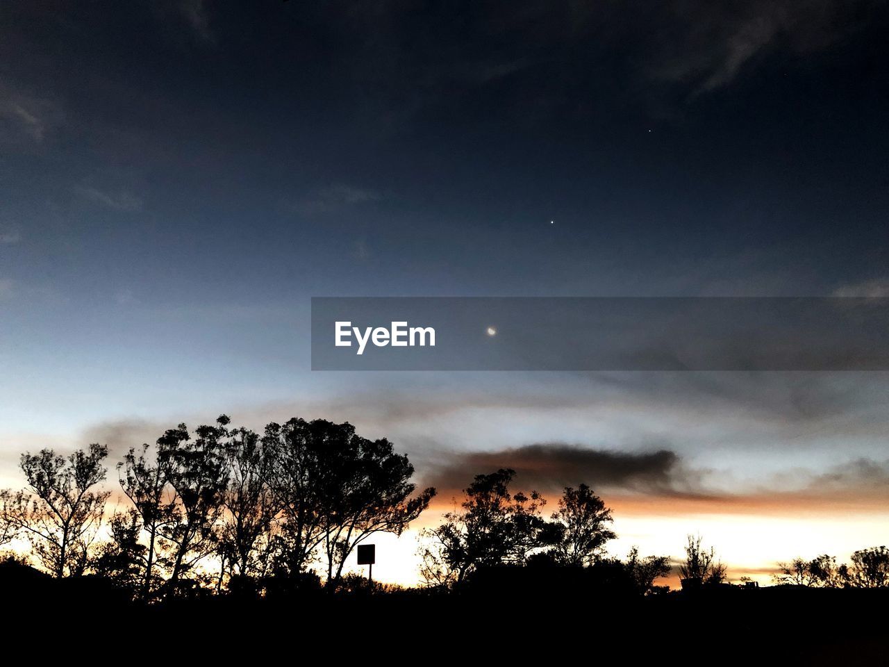 SILHOUETTE TREES ON LANDSCAPE AGAINST SKY AT NIGHT