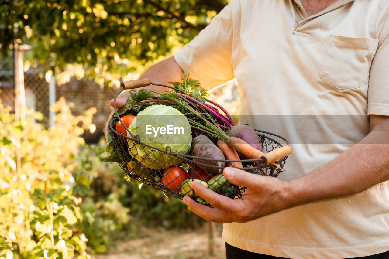 Midsection of man holding vegetables