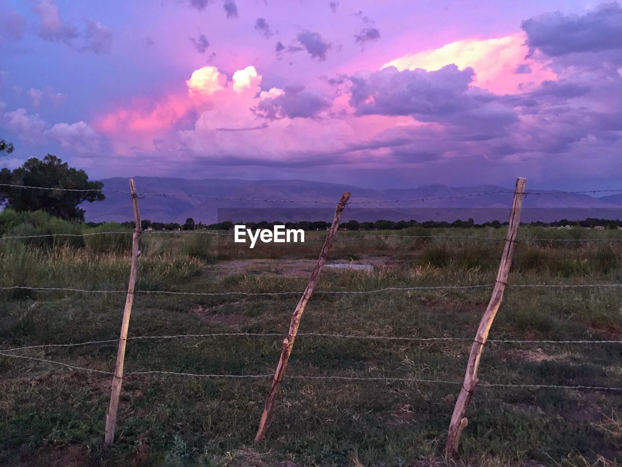 Fence on grassy field at sunset