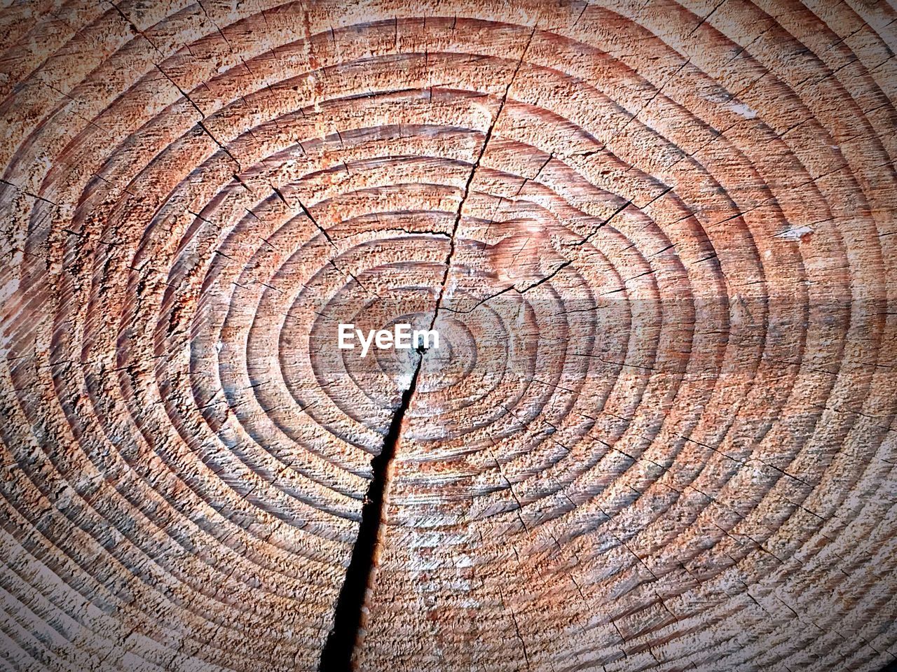 FULL FRAME SHOT OF WOODEN WALL