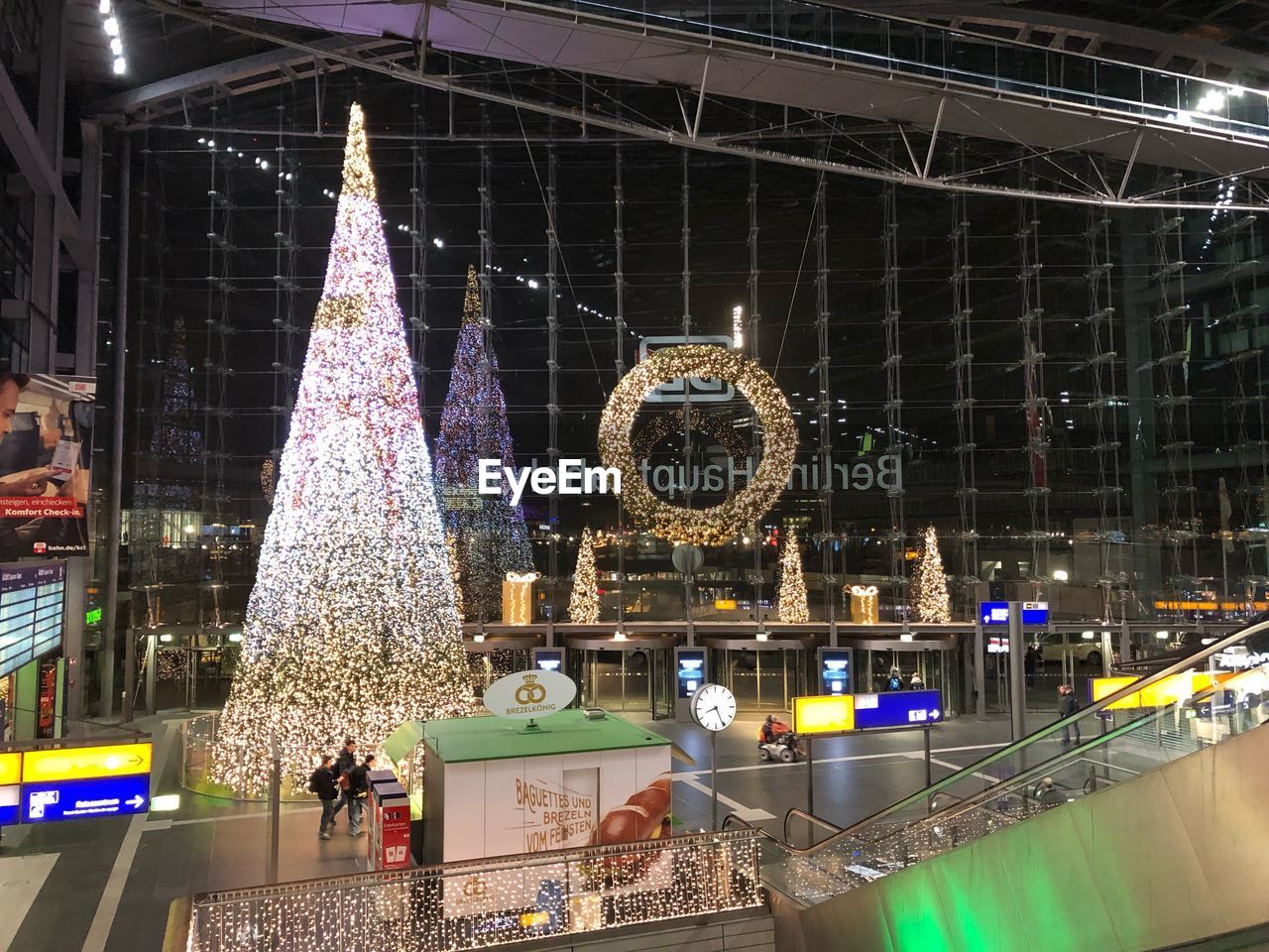 CHRISTMAS TREE AT NIGHT