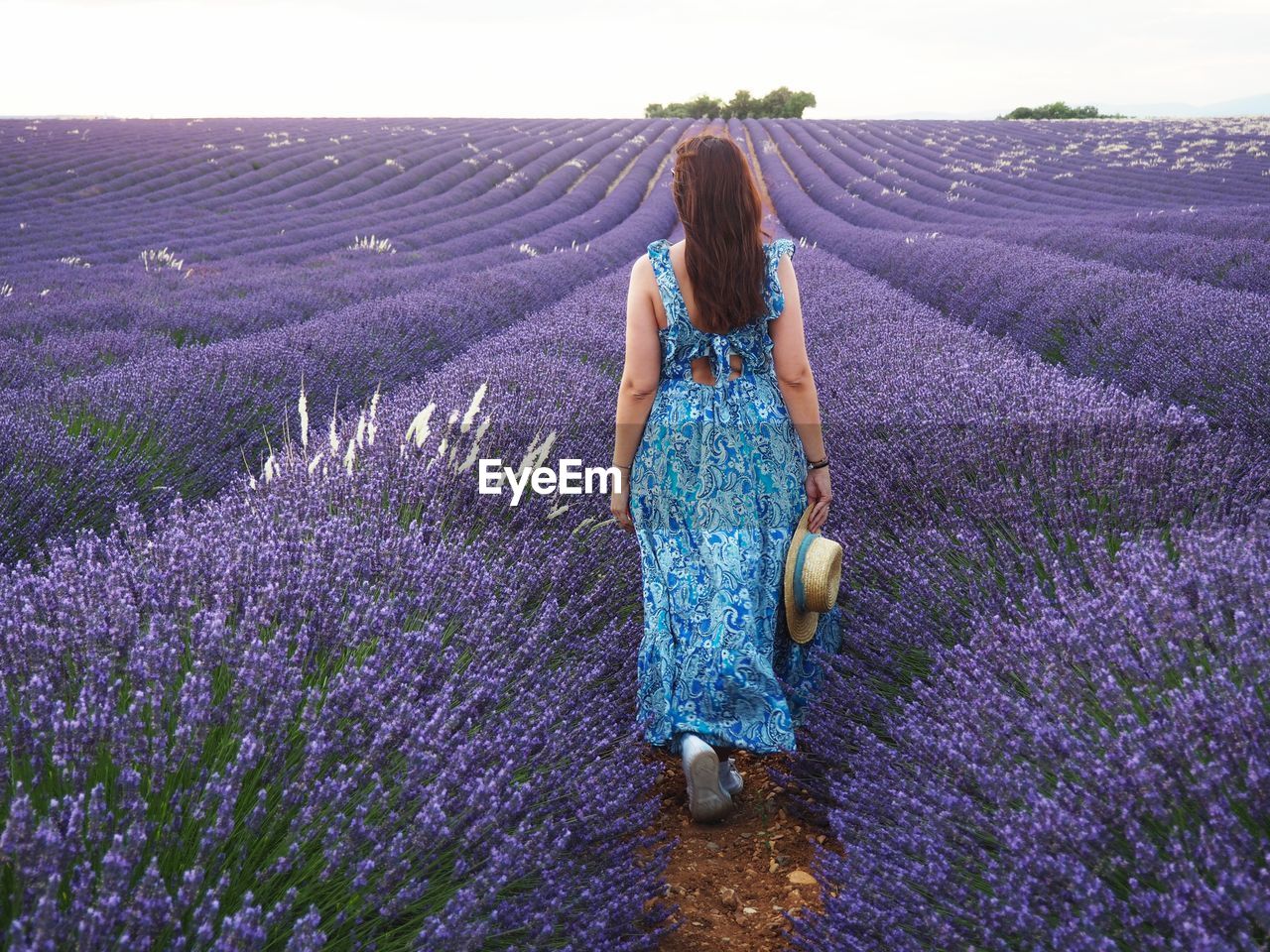 Full length of woman standing by purple flowers on field