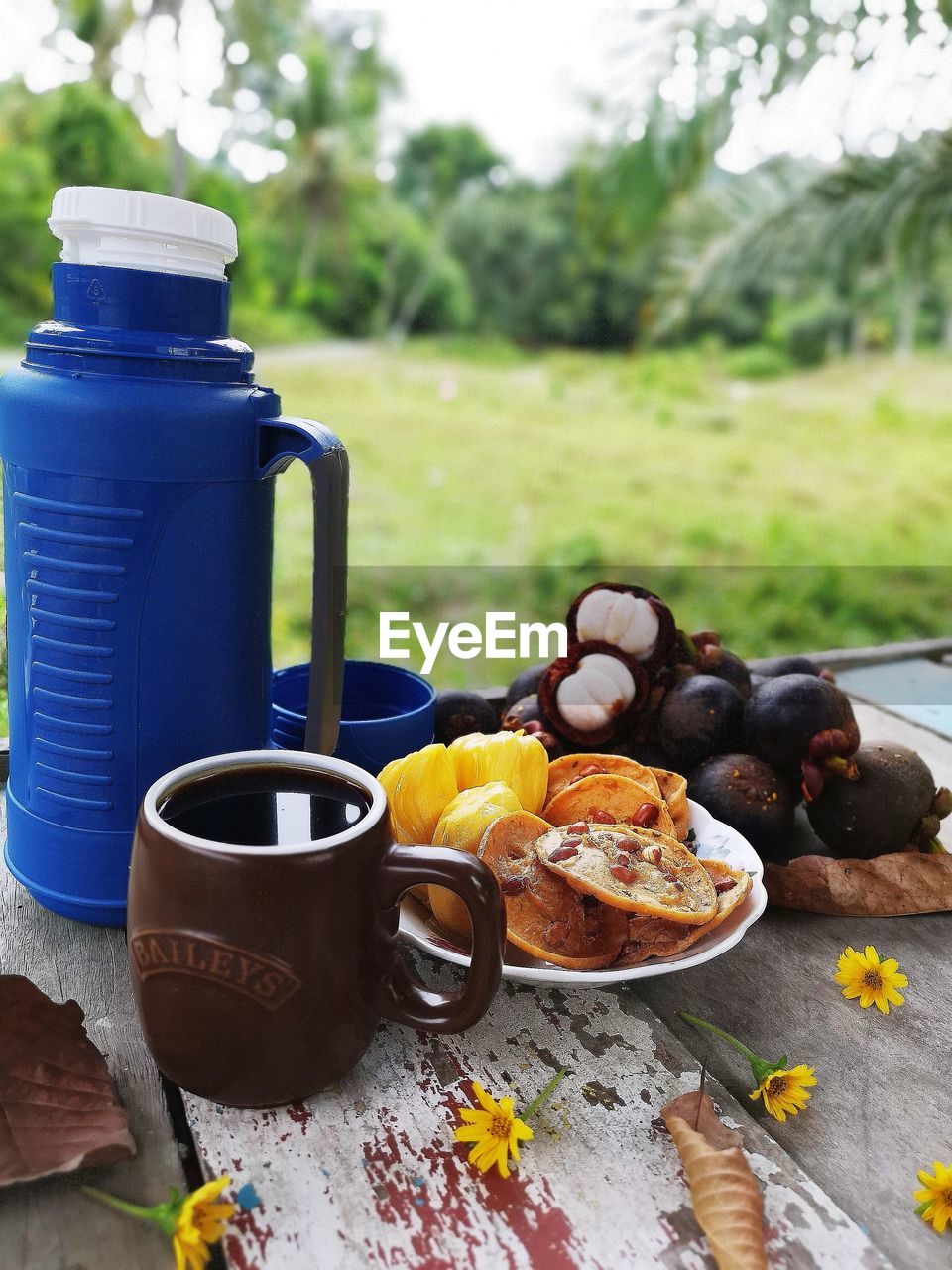 CLOSE-UP OF BREAKFAST ON TABLE IN YARD