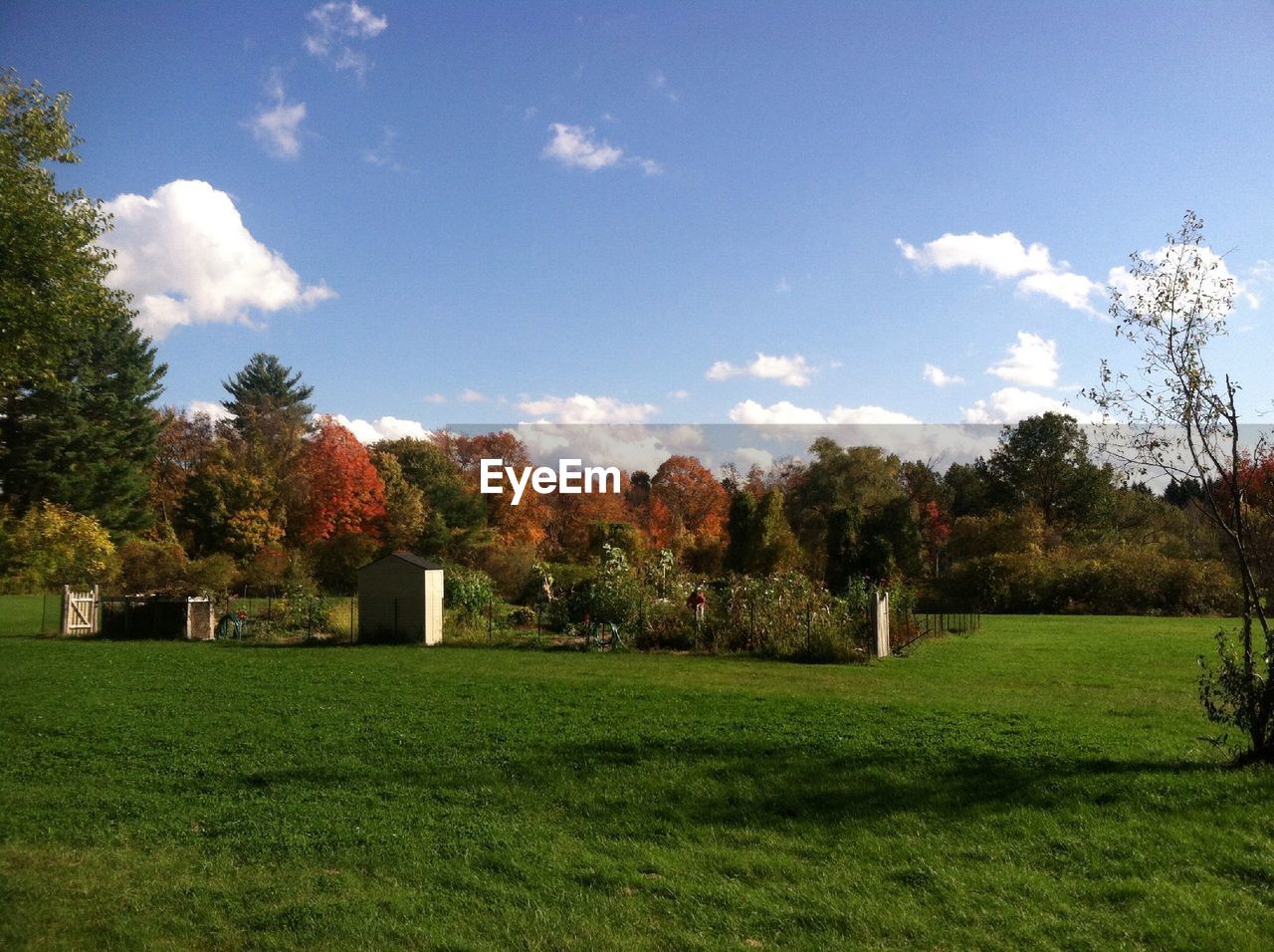 Grassy landscape against sky during autumn on sunny day