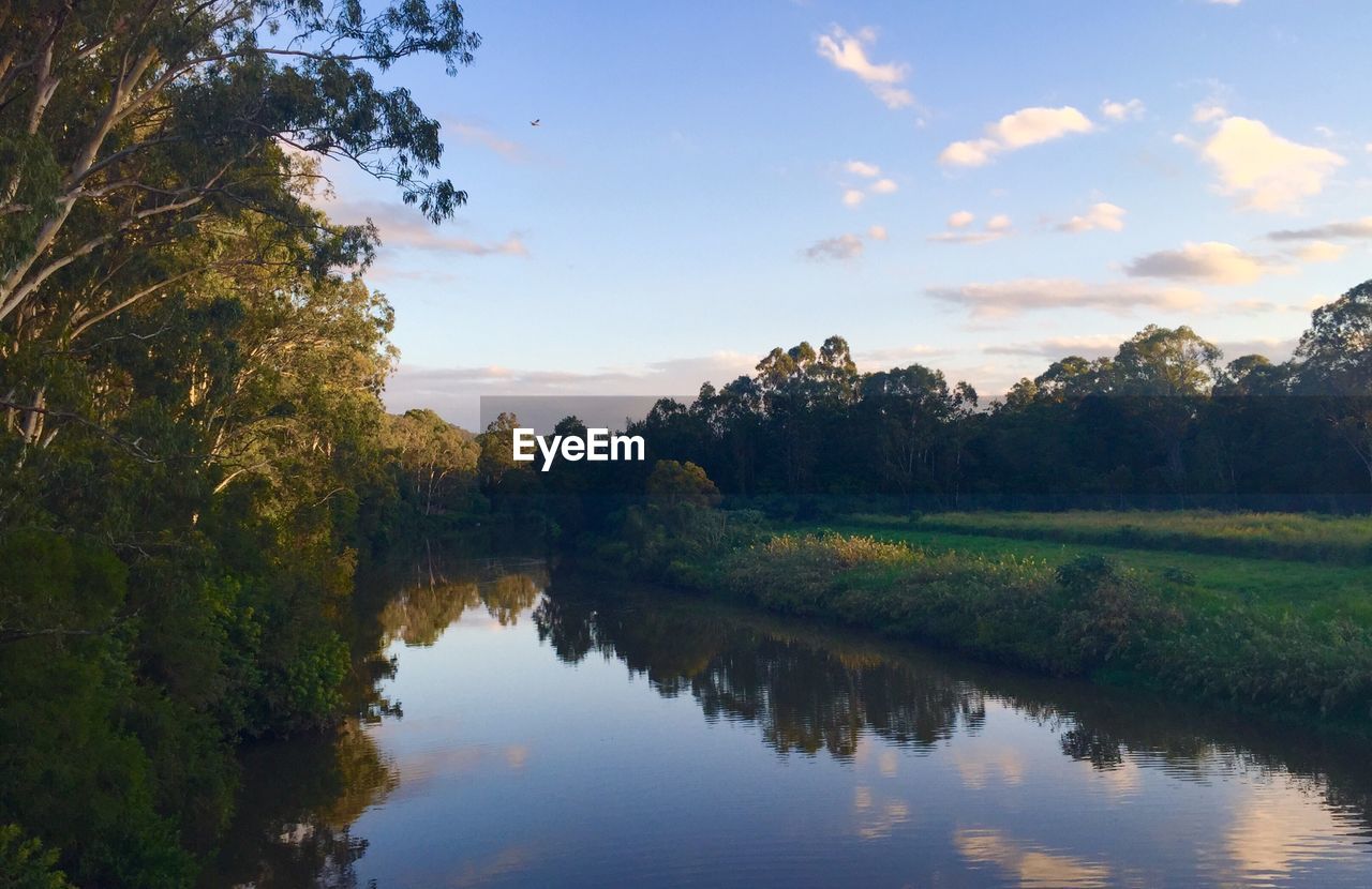 Lake amidst trees against sky