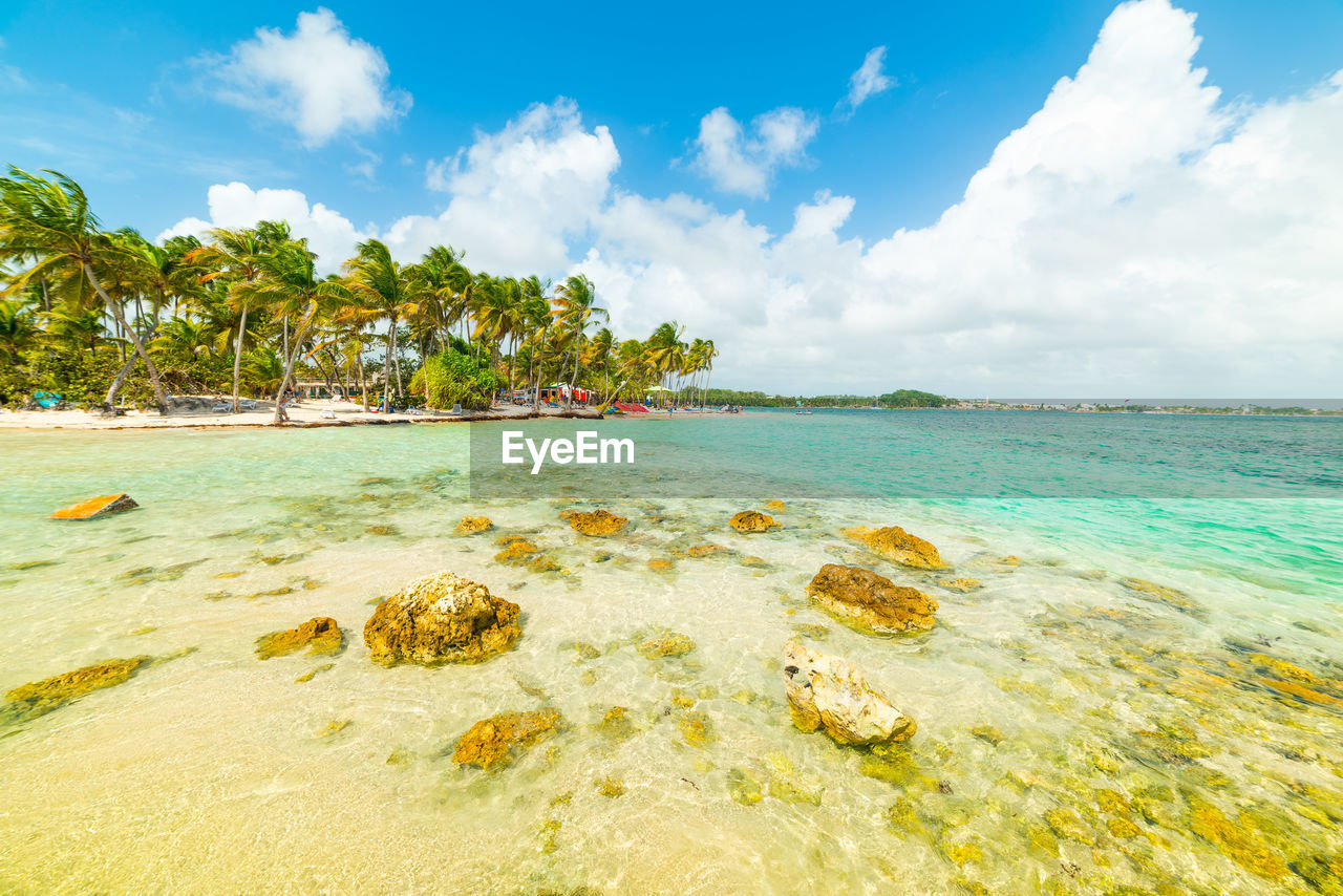 SCENIC VIEW OF SEA SHORE AGAINST SKY