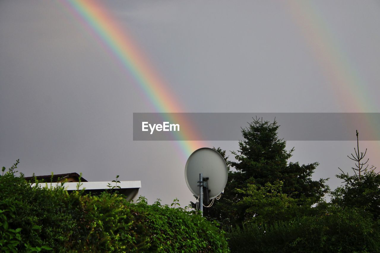 LOW ANGLE VIEW OF RAINBOW OVER TREES AND PLANTS