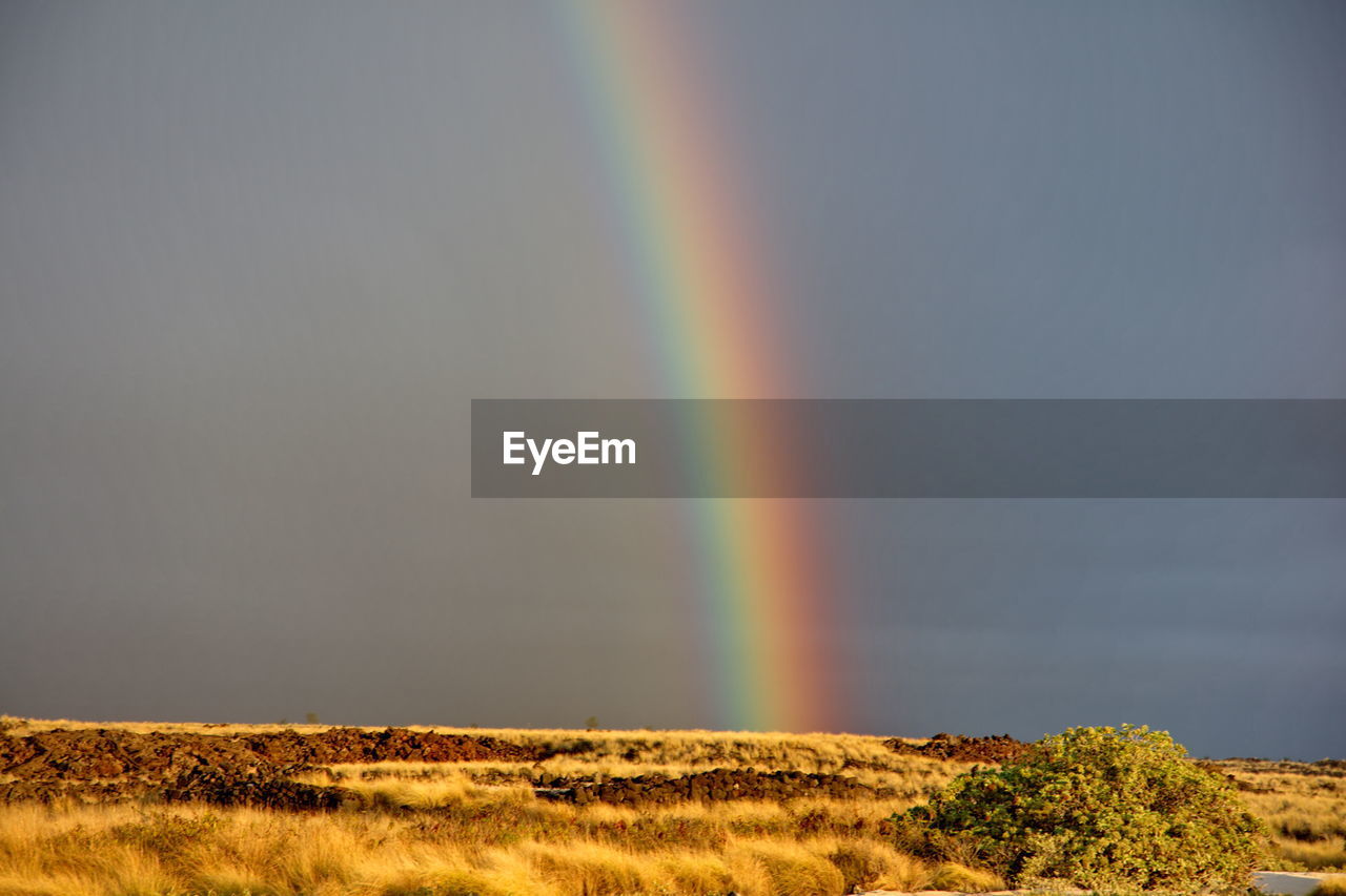 Scenic view of rainbow over field against sky