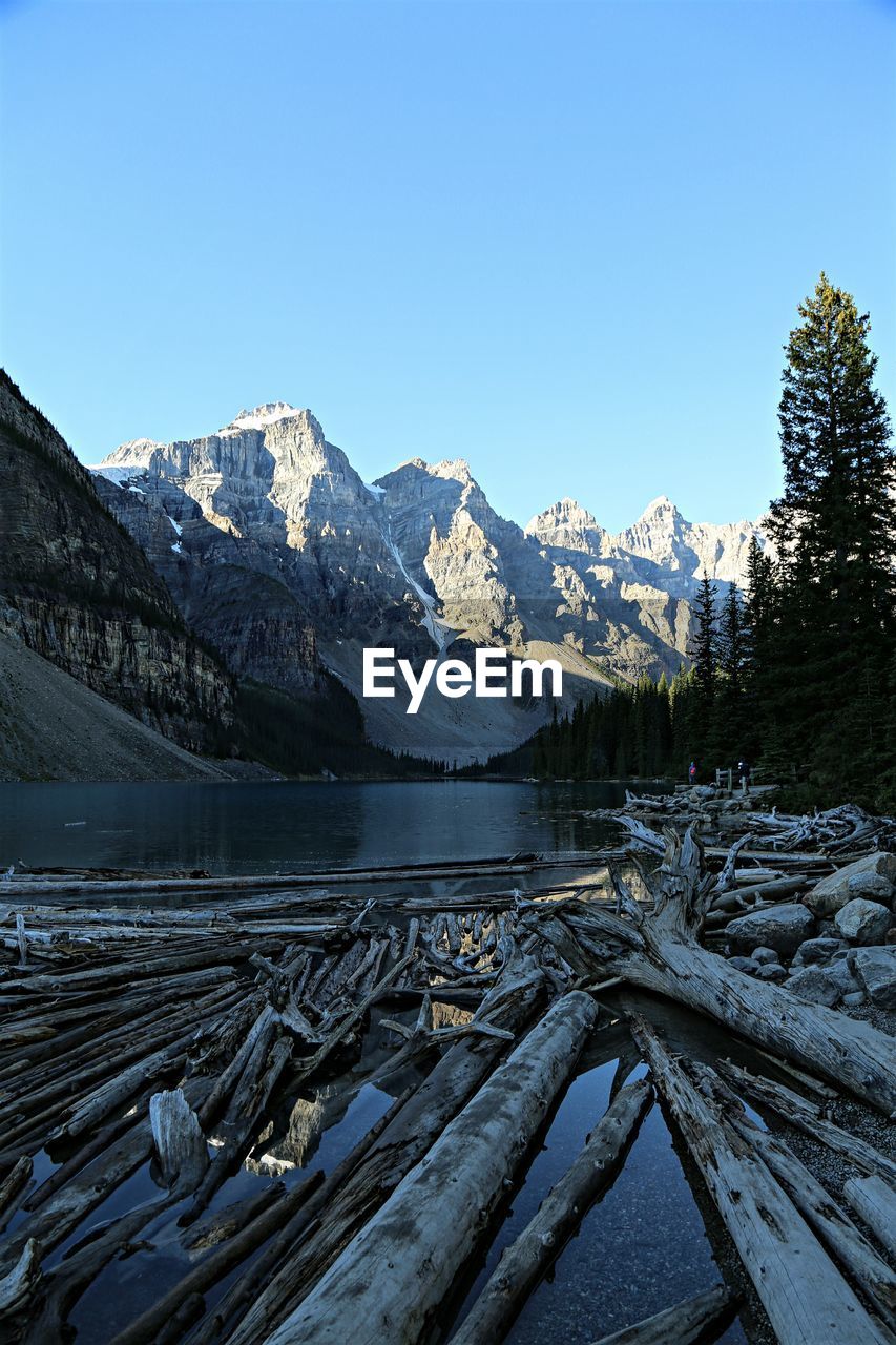 Driftwoods in lake by rocky mountains against clear blue sky