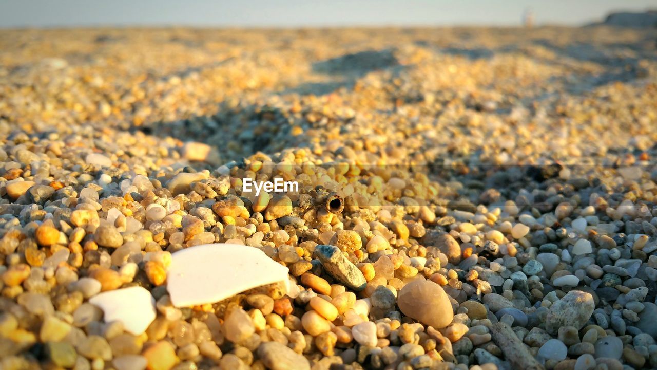 Surface level of pebbles at beach