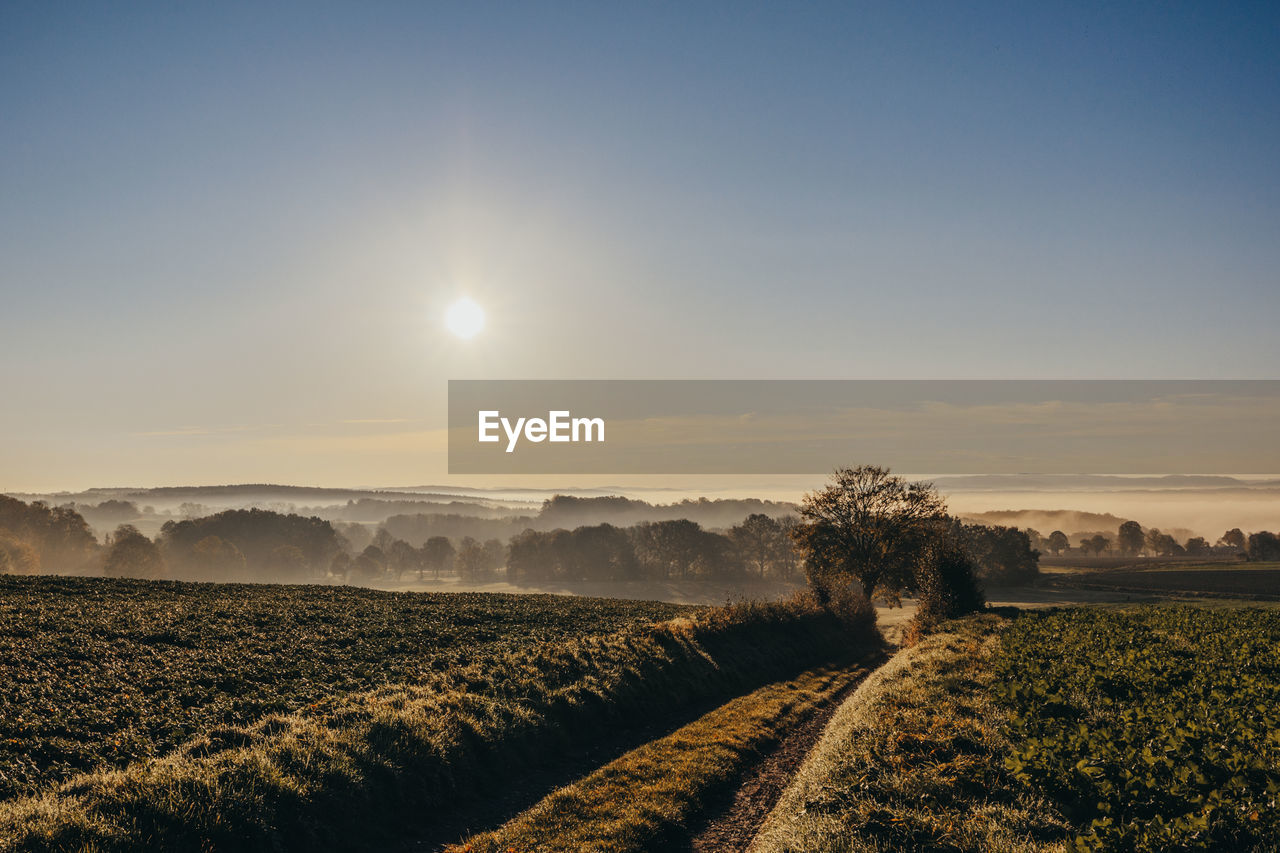 View of agricultural field against sky