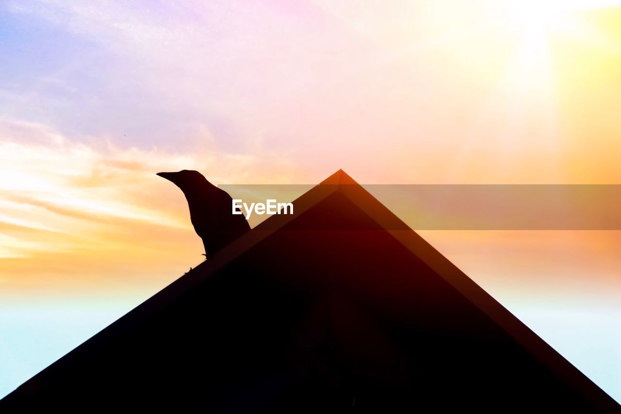 LOW ANGLE VIEW OF SILHOUETTE BIRD ON ROCK AGAINST SKY