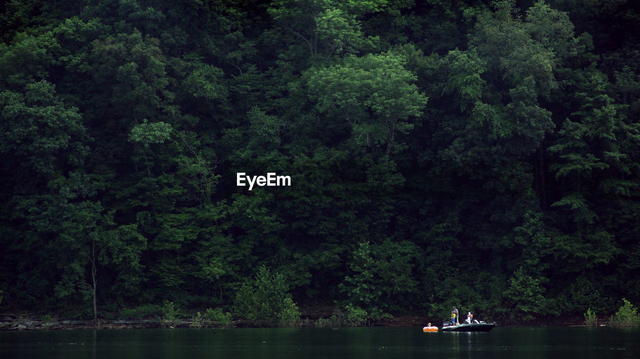 Scenic view of lake against trees at forest