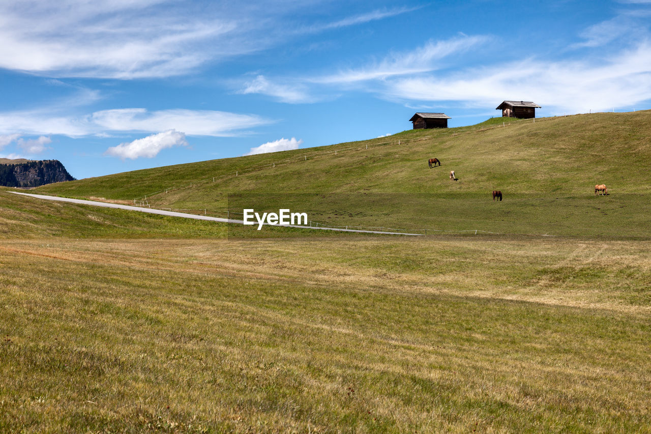 Mountain pastures with huts  and horses on the background of the cloudy sky