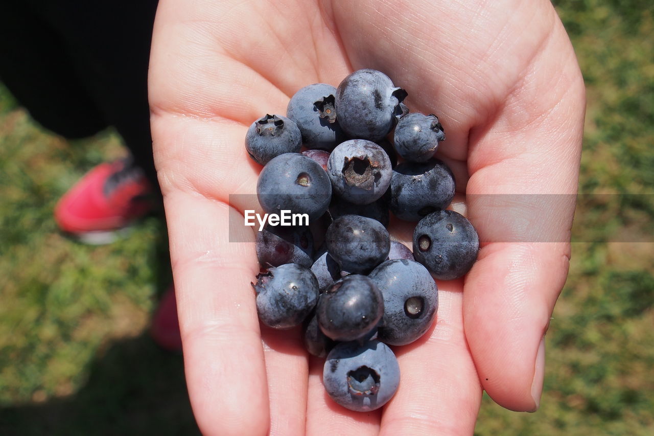 Woman holding handful of blueberries