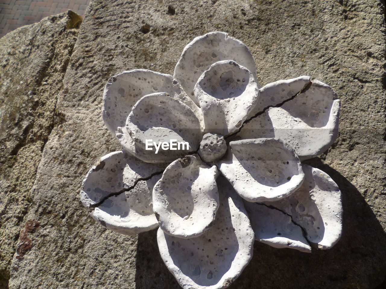 High angle view of clay flower on rock in sunlight