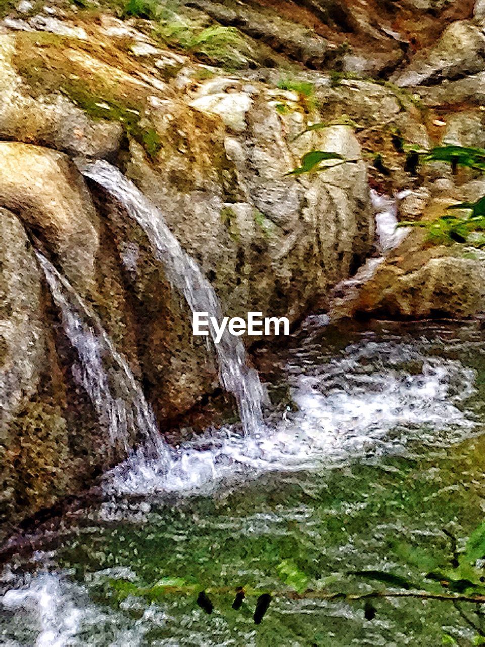 WATERFALL IN FOREST