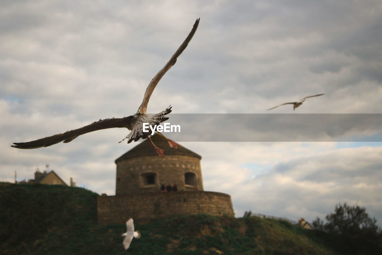 Low angle view of birds flying against cloudy sky