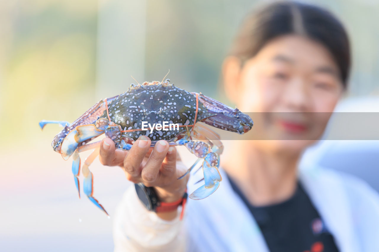 cropped hand of man holding fish