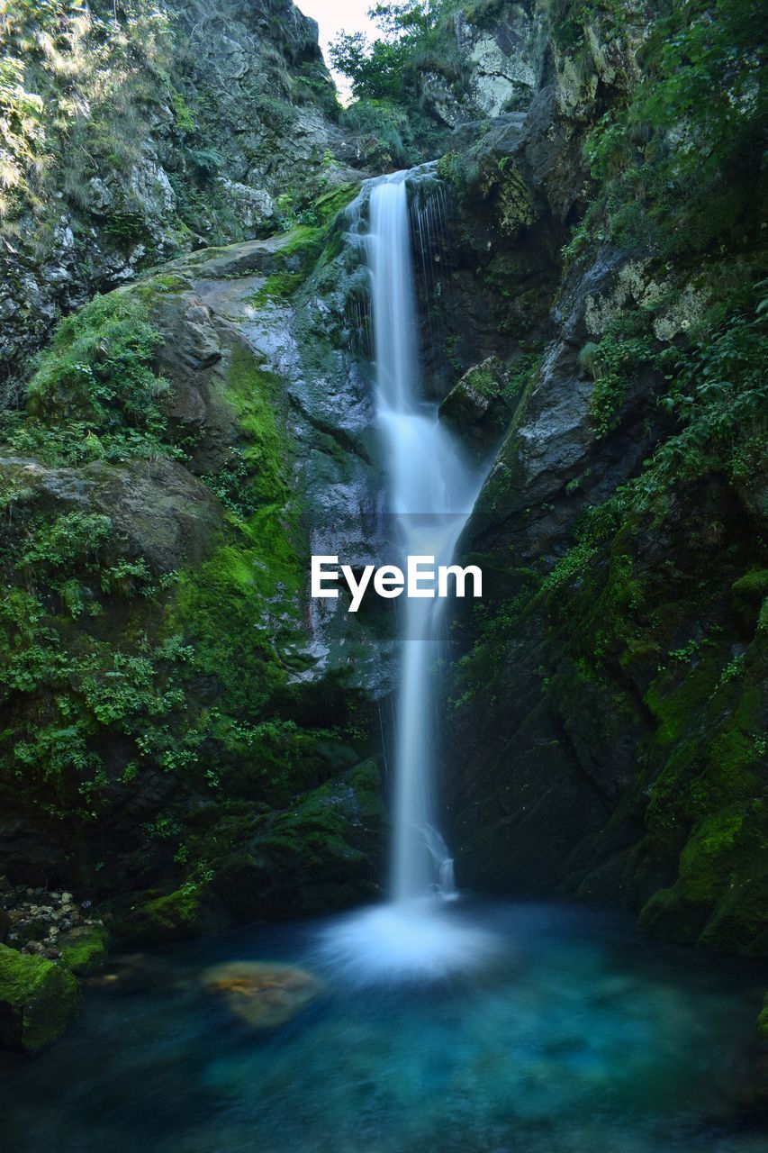 Scenic view of waterfall in forest