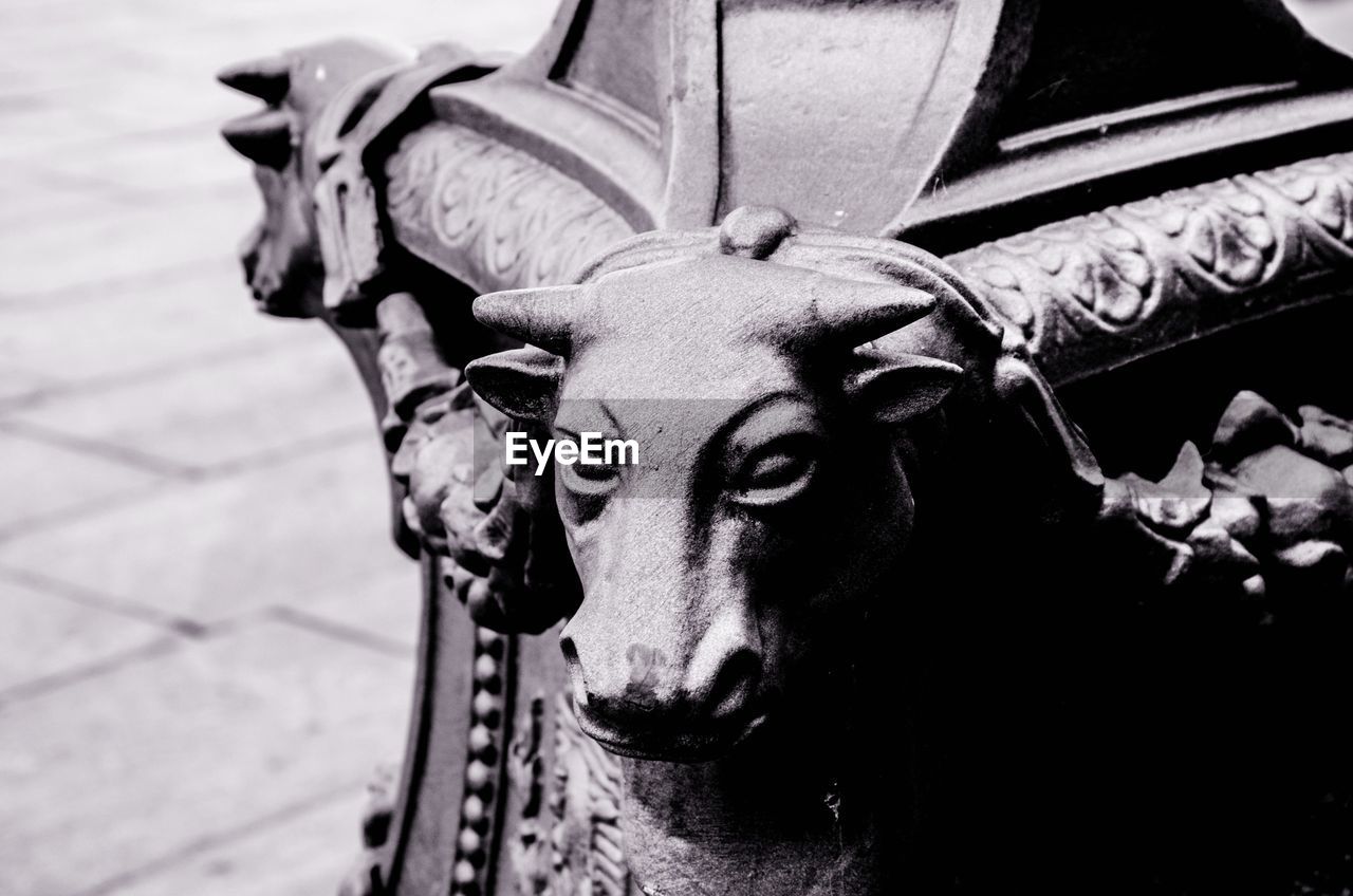 Close-up of cow carving