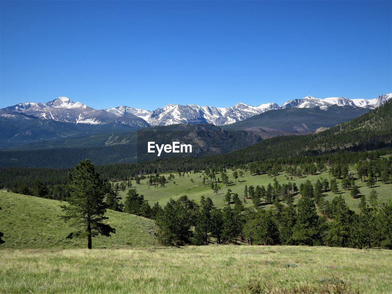 SCENIC VIEW OF TREES AND MOUNTAINS AGAINST CLEAR SKY