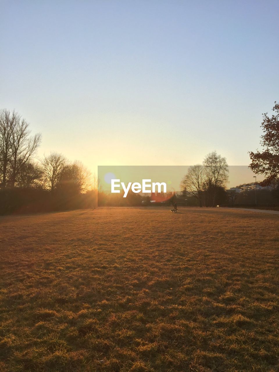 Scenic view of field against clear sky during sunset