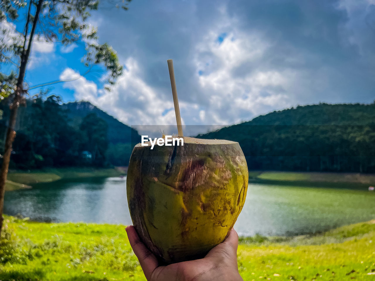 cropped image of man holding water