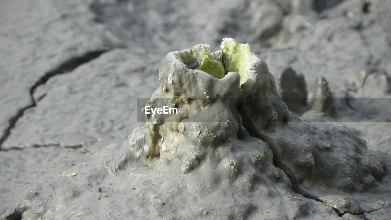 CLOSE UP OF SAND