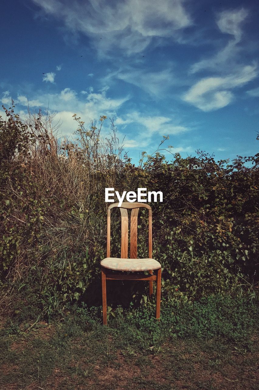 CHAIR AND TREES AGAINST SKY