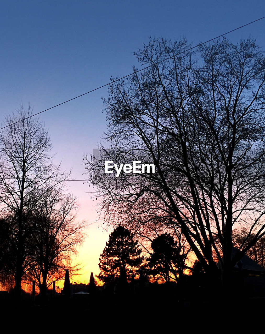 SILHOUETTE OF BARE TREES AGAINST SKY AT SUNSET