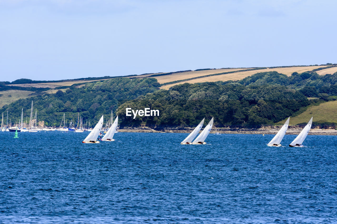 Sailboats sailing in sea against clear blue sky