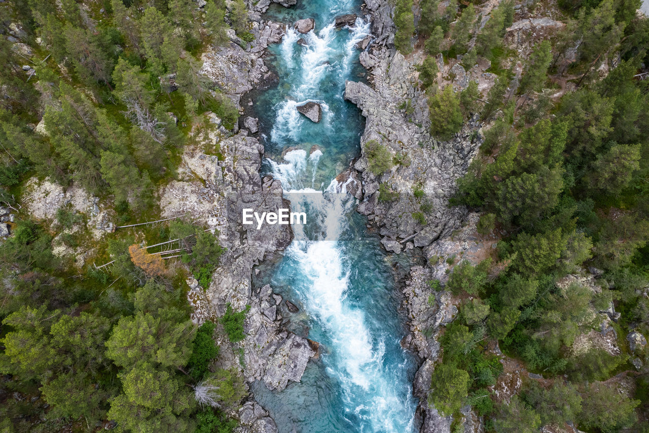 scenic view of waterfall in forest