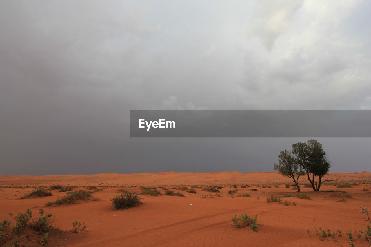 Scenic view of desert against sky