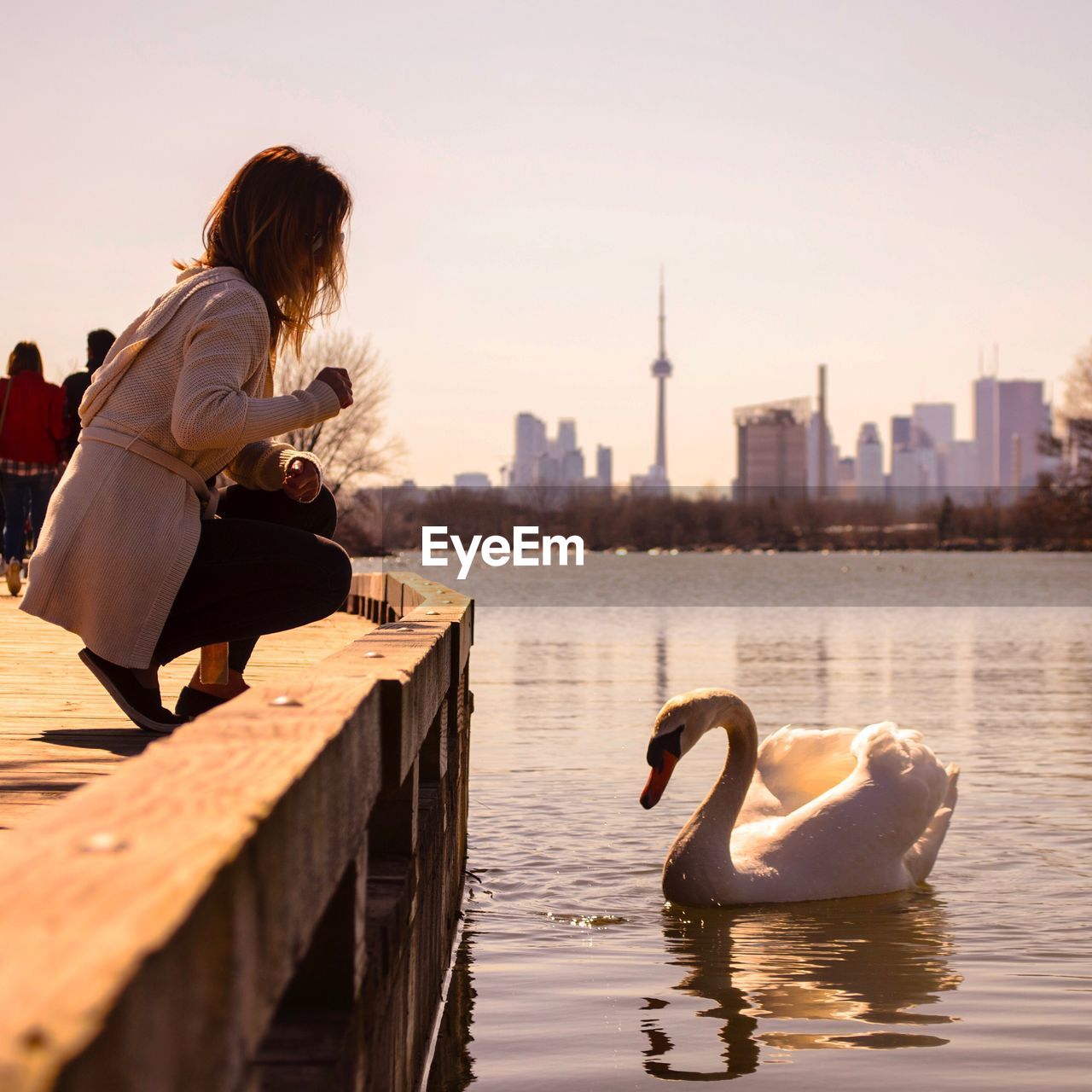 Side view of woman crouching on pier by swan in river against sky
