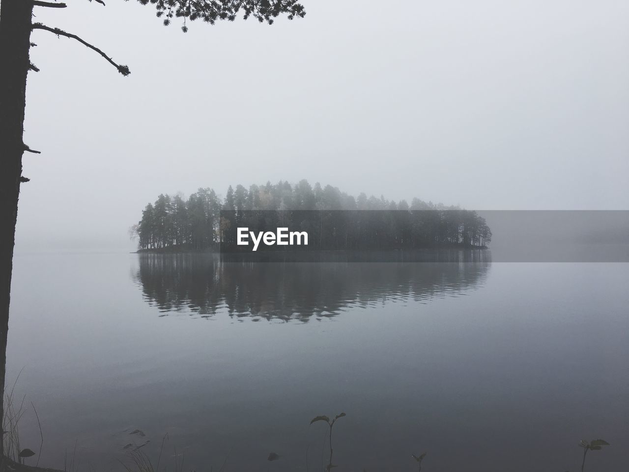 REFLECTION OF TREES IN LAKE