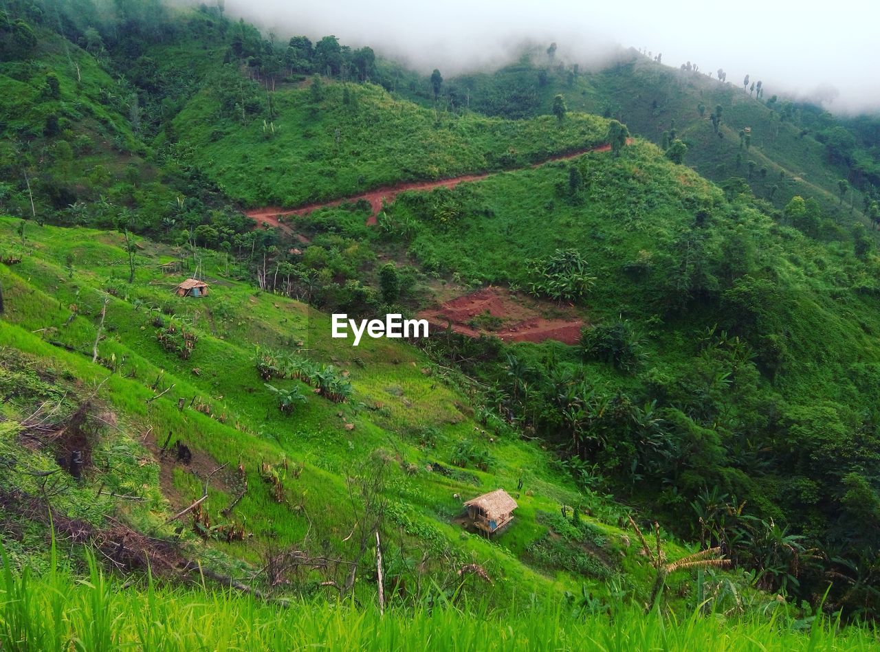 SCENIC VIEW OF FARM AGAINST SKY