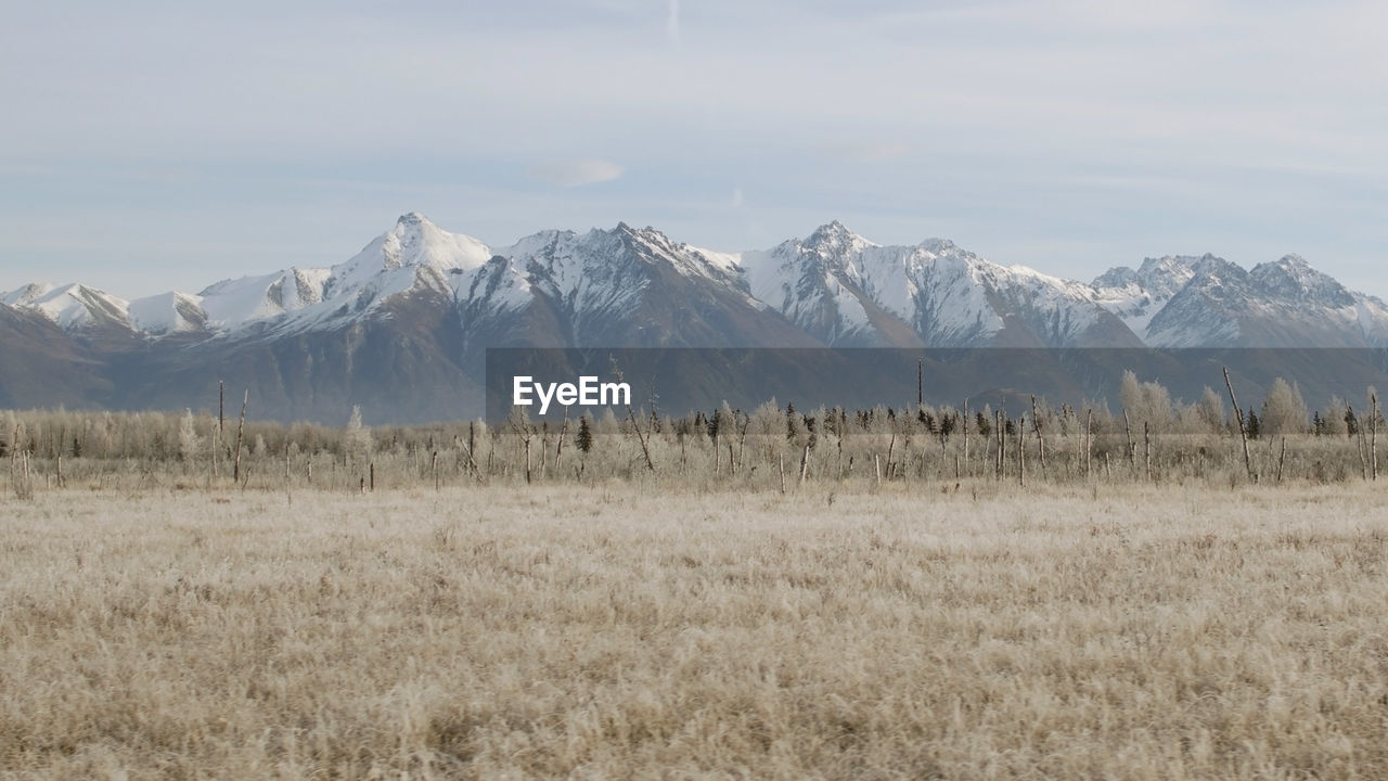 Scenic view of field and mountains against sky