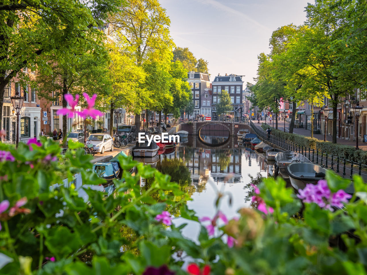 Serene amsterdam canal scene arched bridge, boats, flowers and reflection in the still waters.