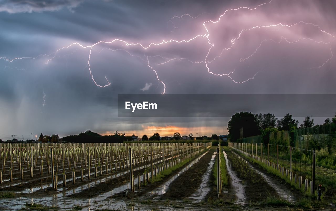 Panoramic shot of lightning over field