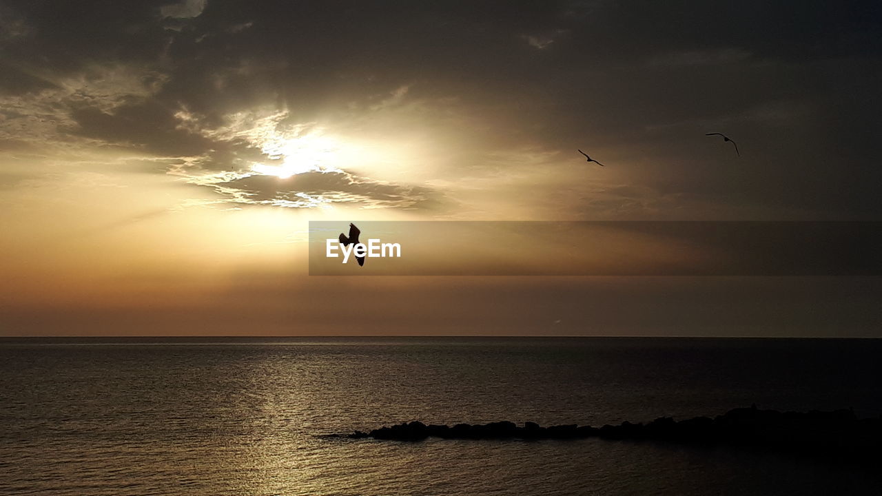 SILHOUETTE BIRD FLYING OVER SEA AGAINST SKY