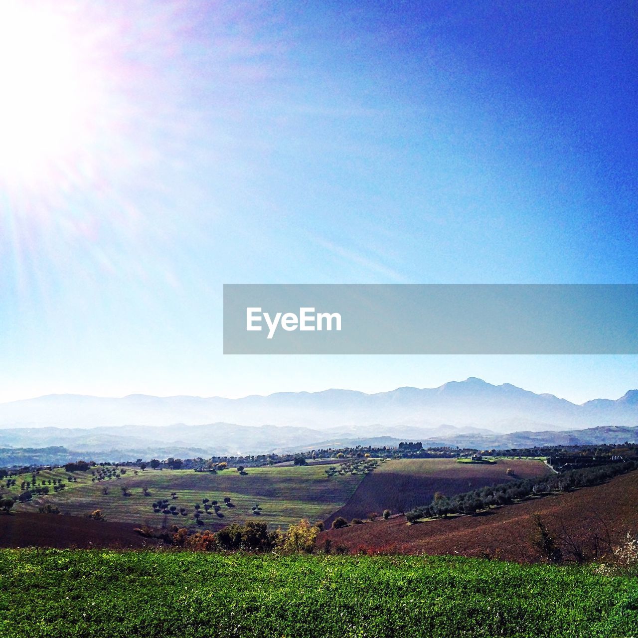 Scenic view of agricultural field against sky