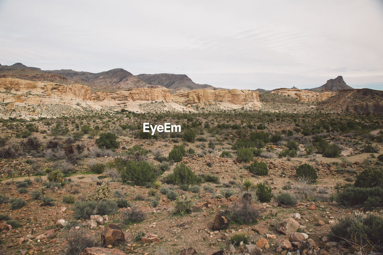 Scenic view of desert against sky