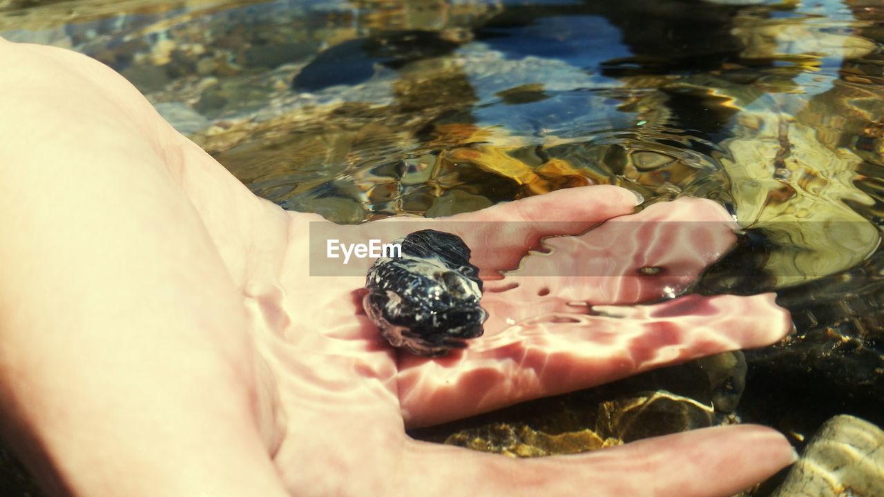 CLOSE-UP OF PERSON SWIMMING IN SEA