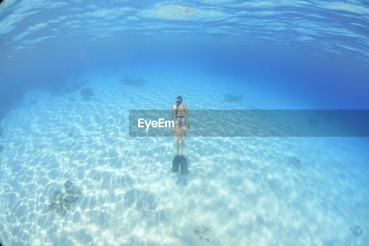 Rear view of young woman swimming undersea