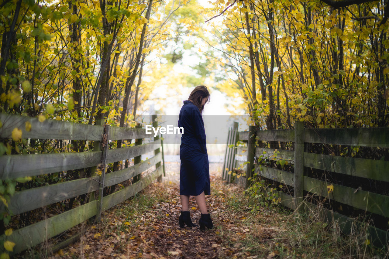 Woman looking down while standing amidst trees during autumn