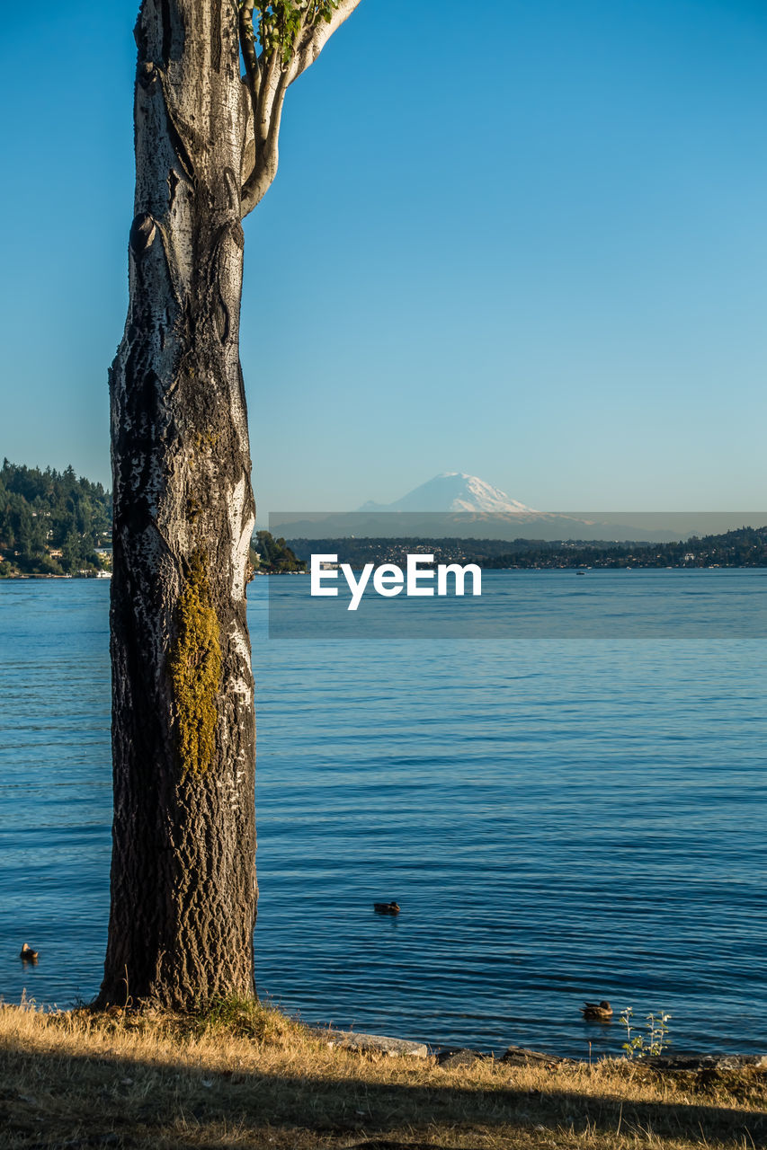 Scenic view of lake against blue sky