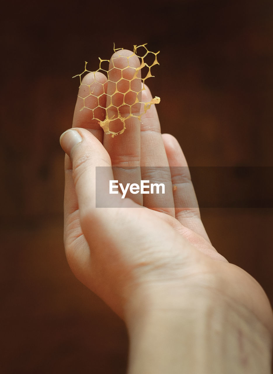 Close up woman holding honeycomb piece concept photo